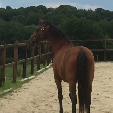 公寓 Voyago Relax Ride Cadier en Keer