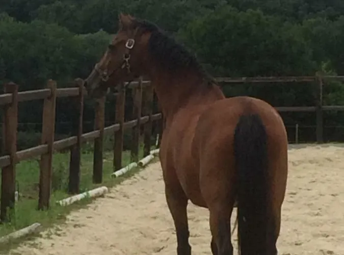 Apartamento Voyago Relax Ride Cadier en Keer